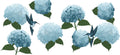 Hydrangeas and Hummingbirds Glass Cup